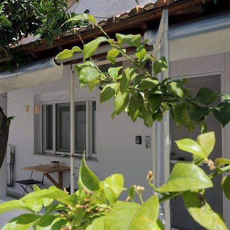 Stamatis Apartment Agios Georgios  Exteriör bild